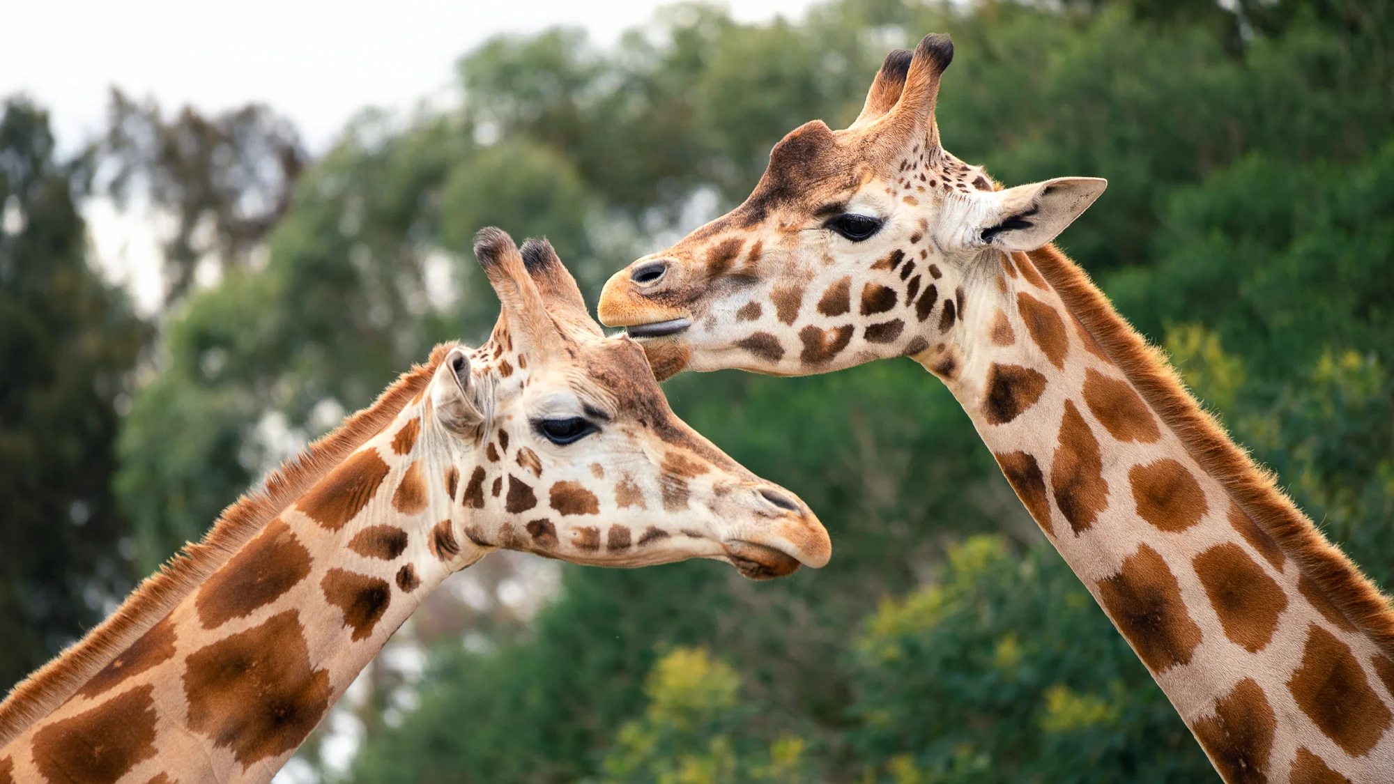 Off Road Wildlife Photography Workshop