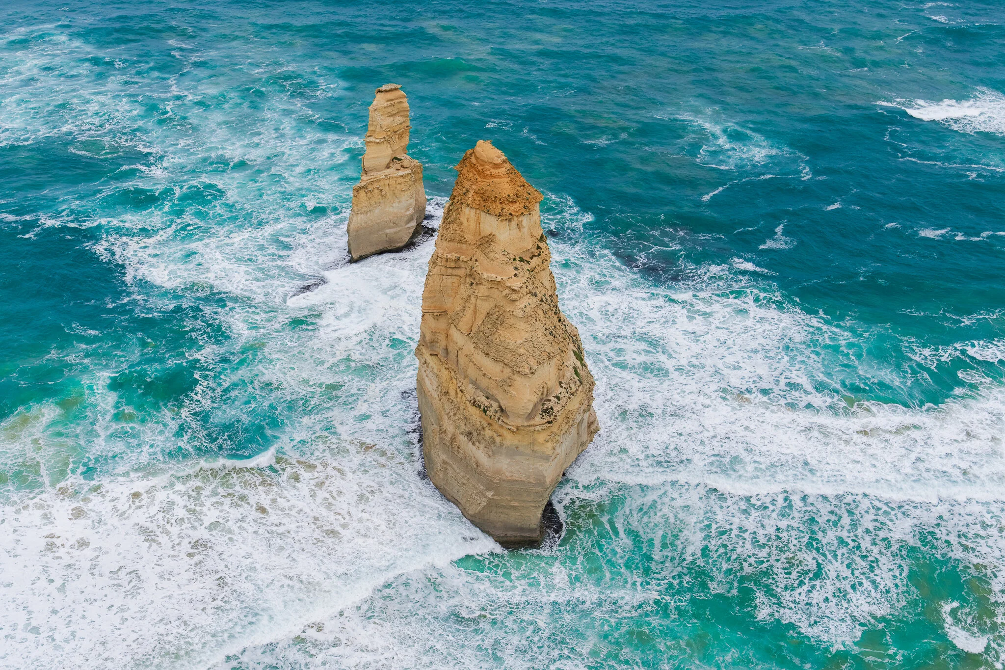 Off Road Wildlife Photography Workshop