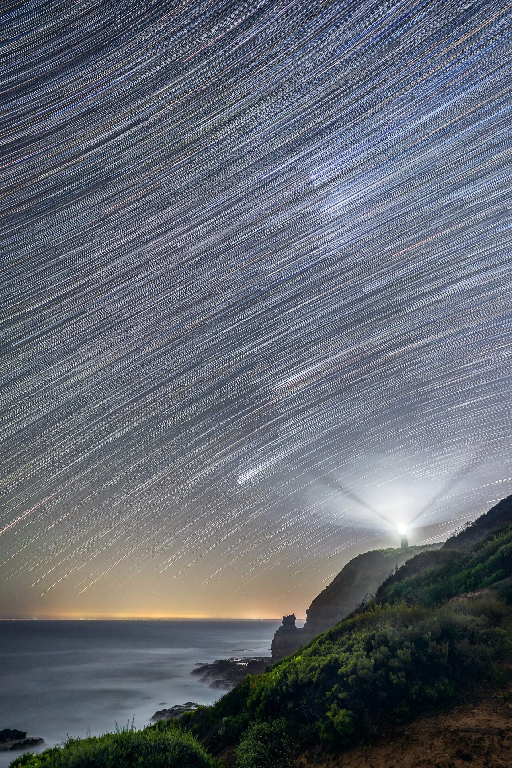 STAR TRAIL VERTICAL.jpg