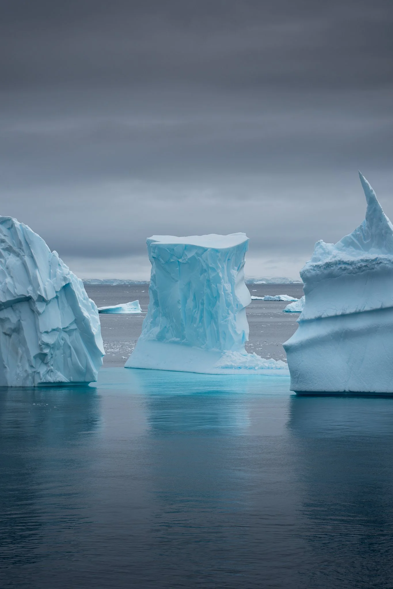 Cuverville Island - Antarctica