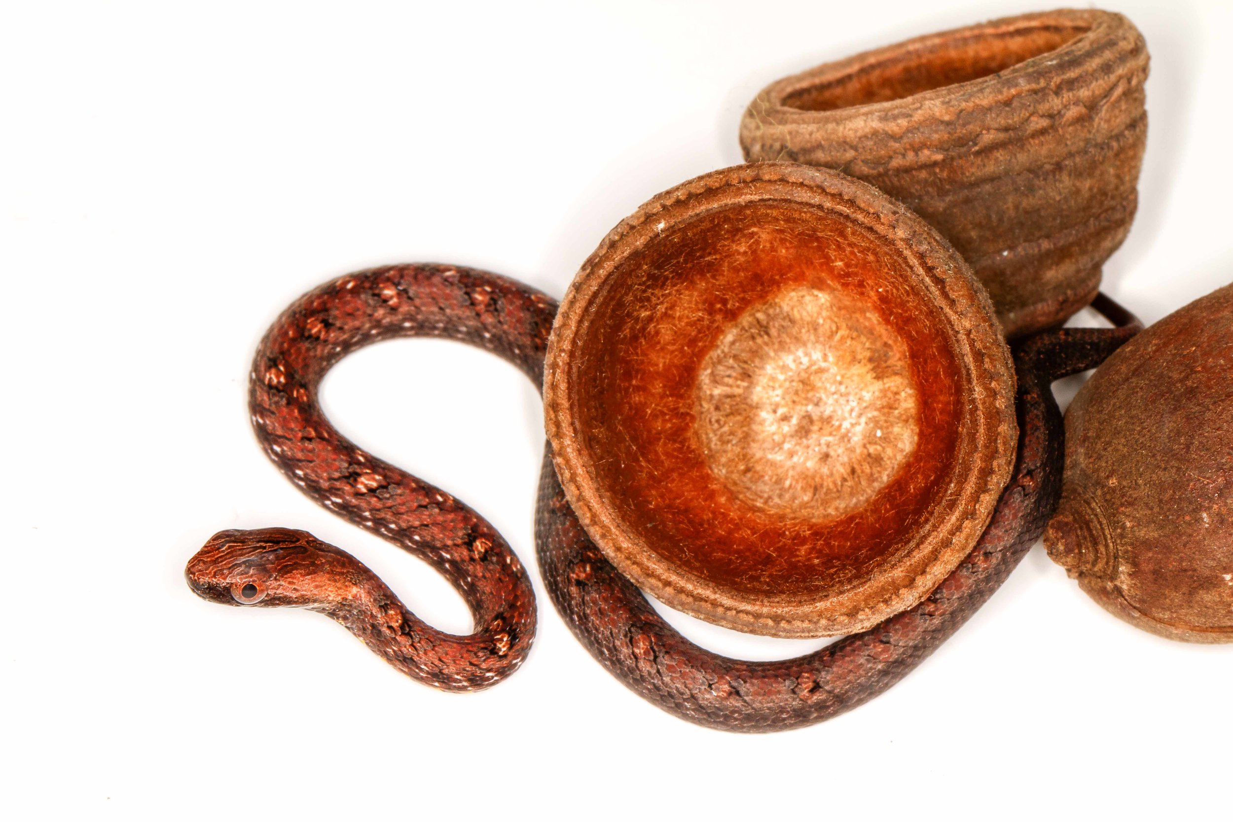 Copy of Mock Viper - Juvenile