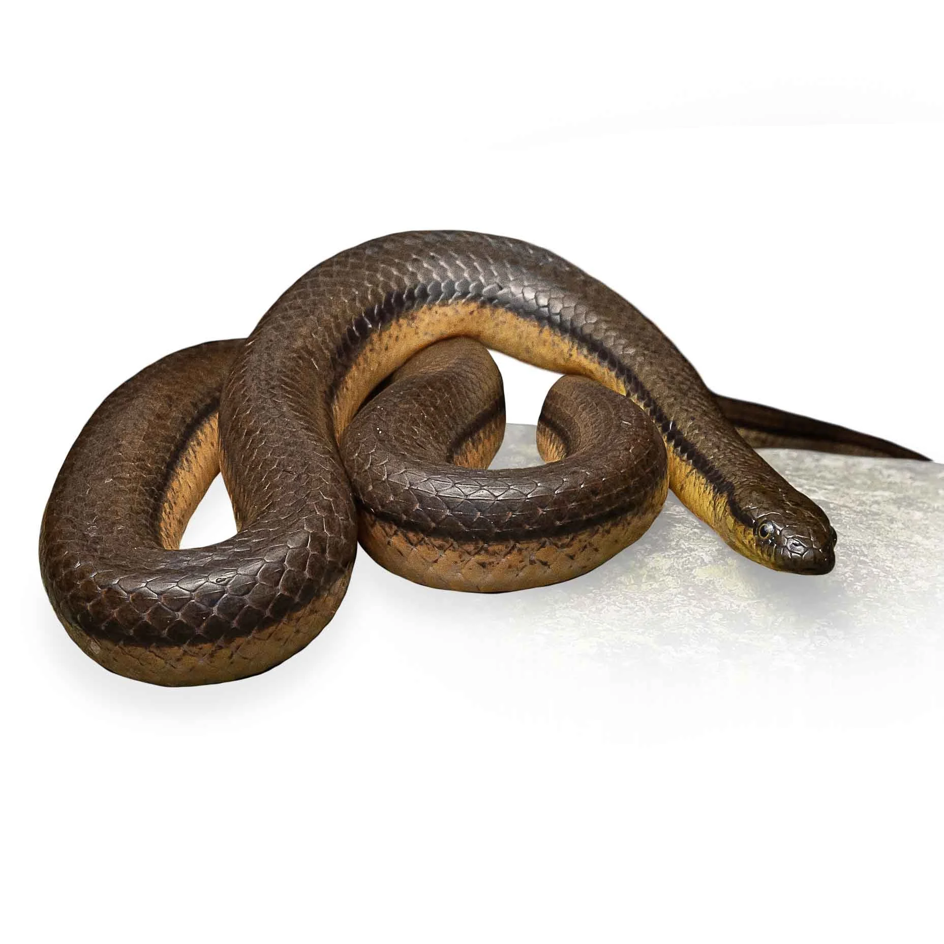 STREAM SNAKE - BI-COLOURED