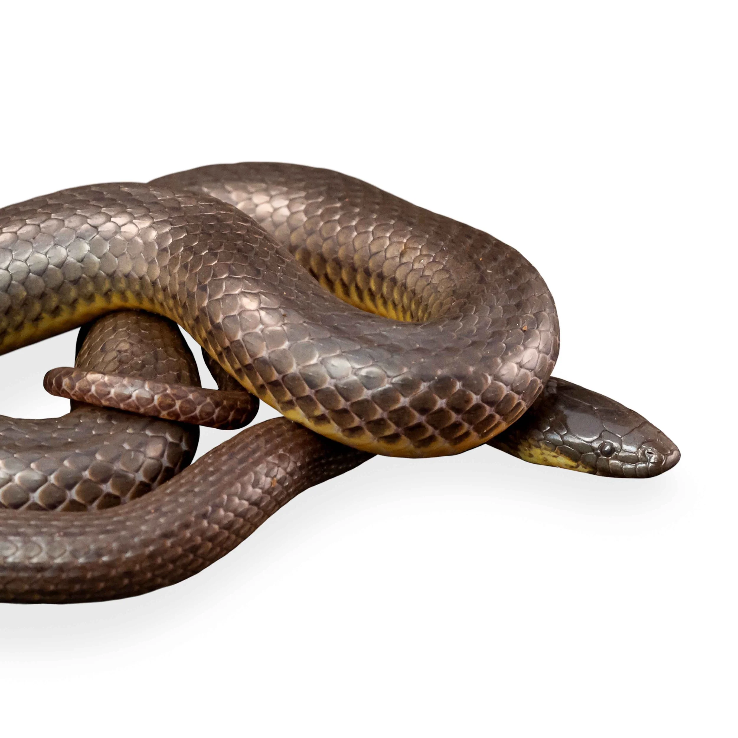 STREAM SNAKE - ANDERSON'S