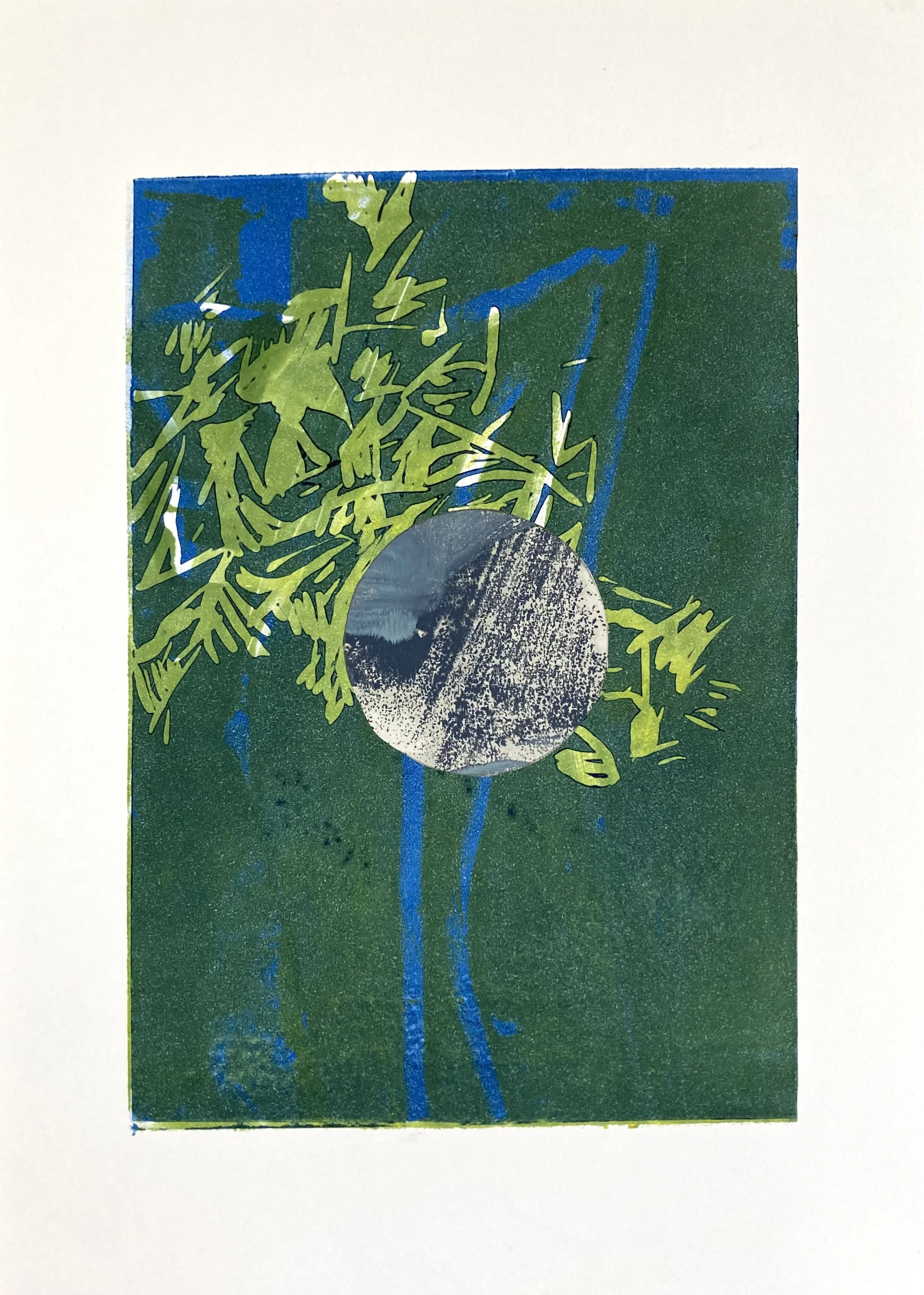 Half Moon Maple 10.jpeg