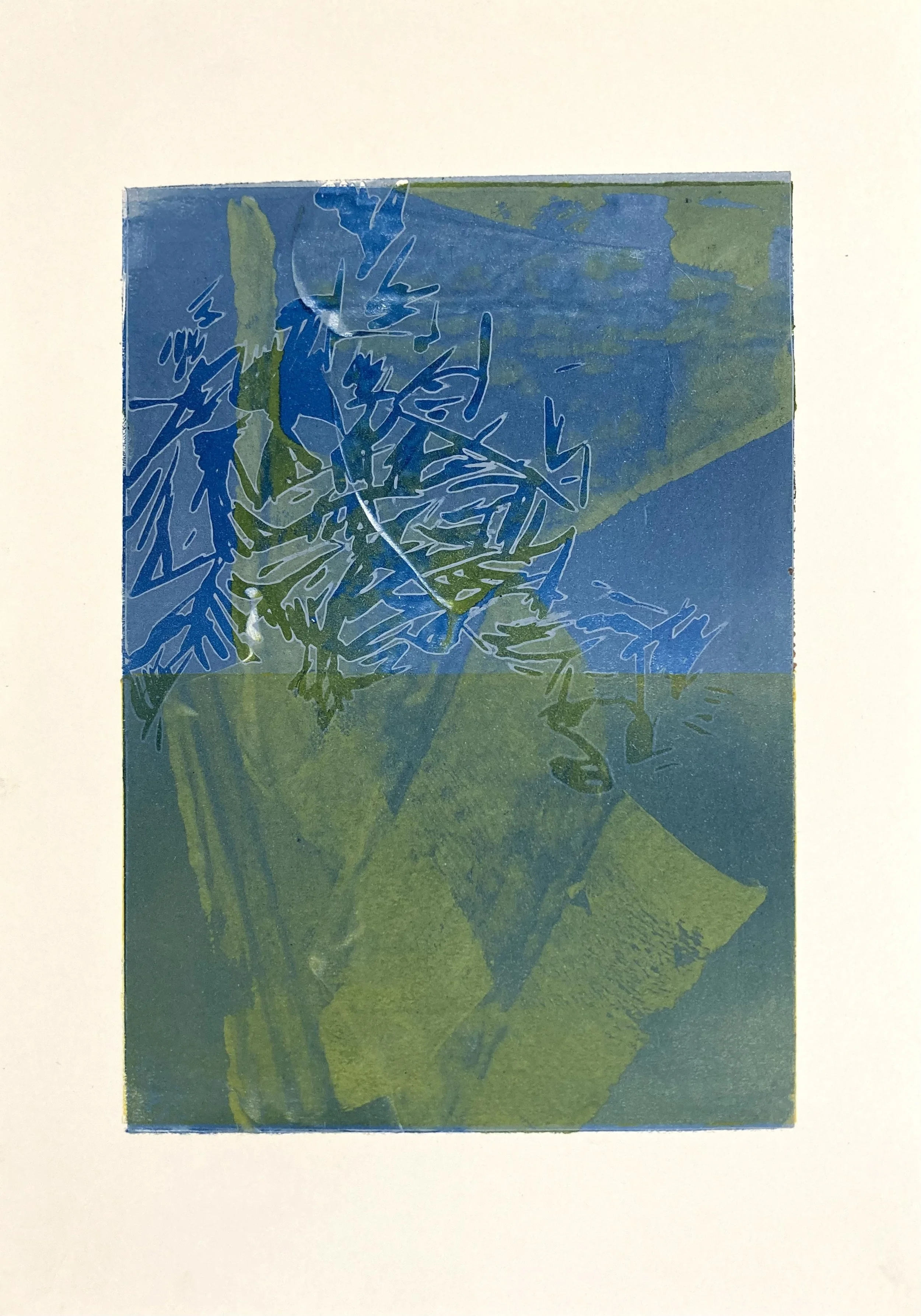 Half Moon Maple 13.jpeg