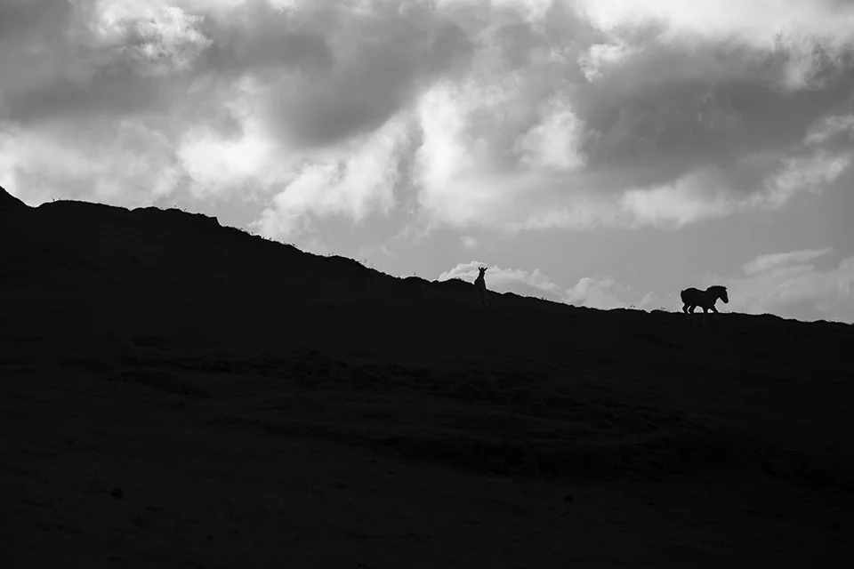 En contre jour
