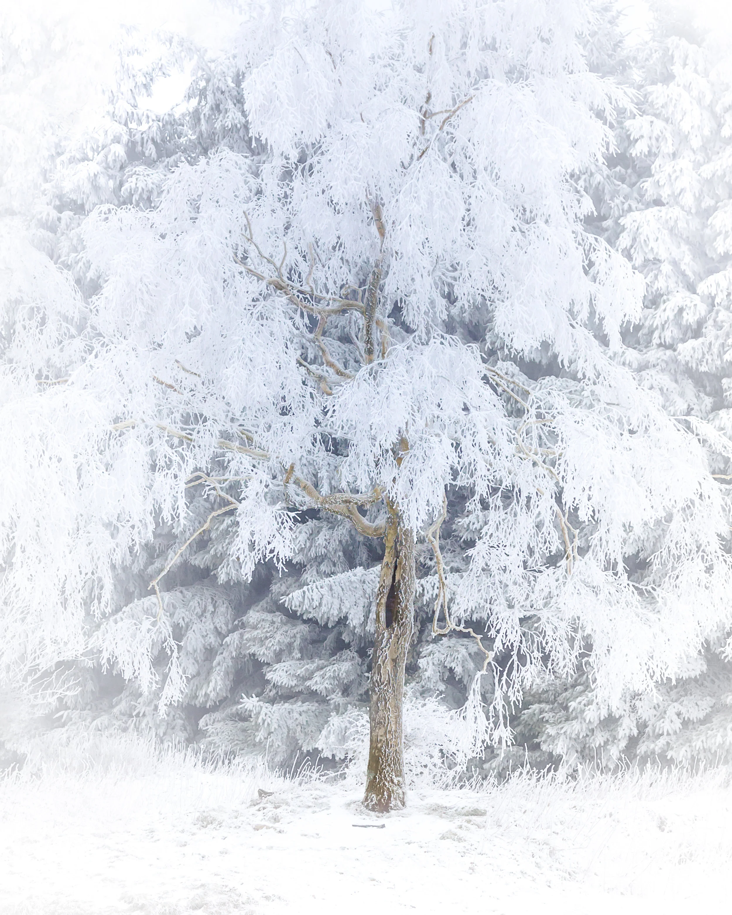 Pretty and Functional