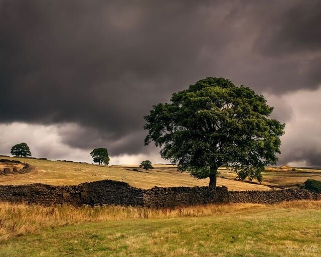 Hoobram Green. The wall in the centre of the image under the tree is all that remains of an Elizabethan farmhouse known as Hoobram. This image dates from August 2018, well before the lockdown but I&rsquo;ve only just ot around to editing it. #landsca