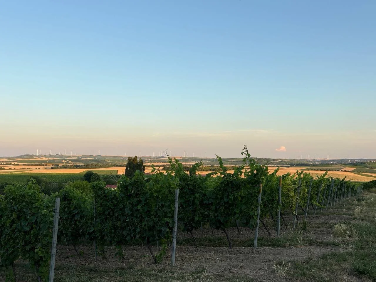 photo_2025-12-04 19.29.53.jpeg