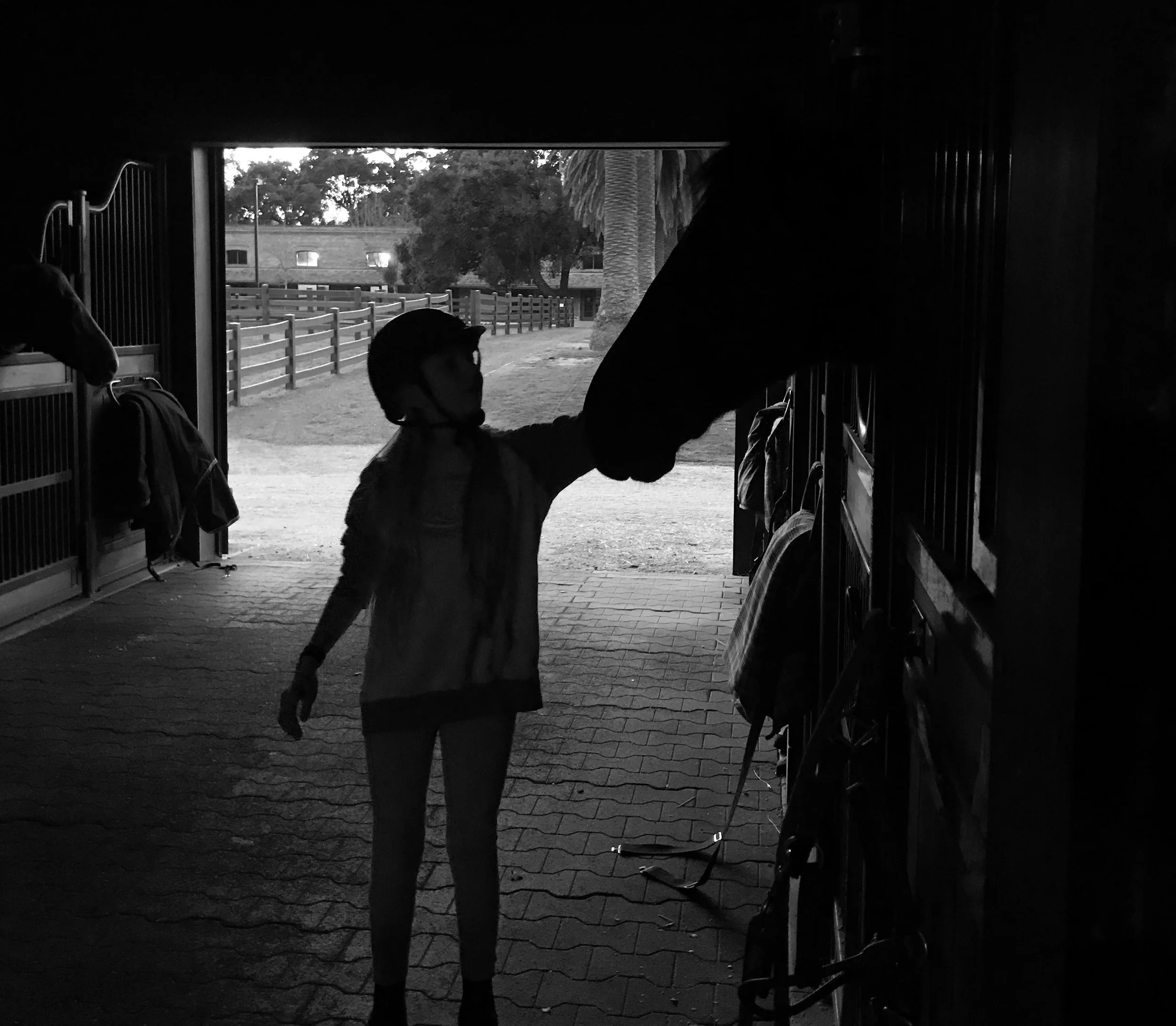 Girl and horse b and w.jpg