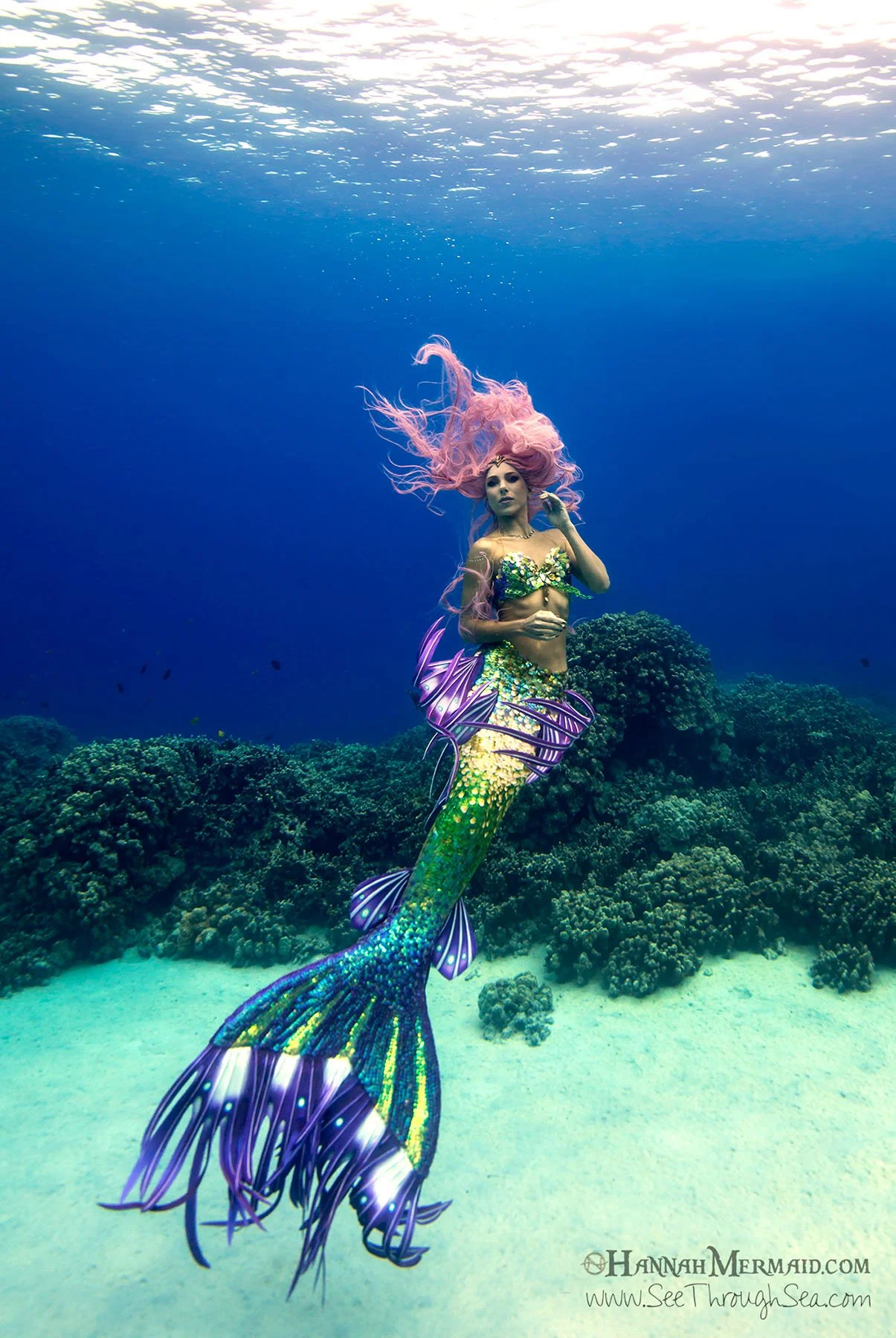 Mermaid swimmer underwater above a coral reef wearing a vibrant green and purple mermaid tail with flowing pink hair in the open ocean.