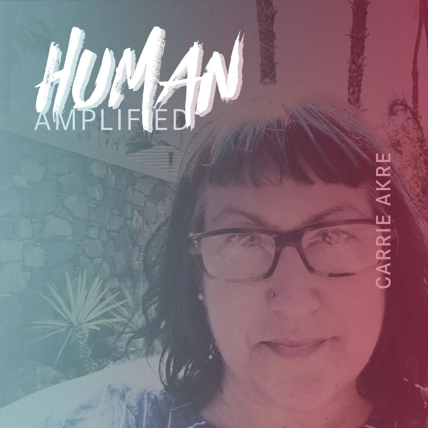 EPISODE 087 | The Emotional Work of Returning to Yourself with Carrie Akre episode artwork