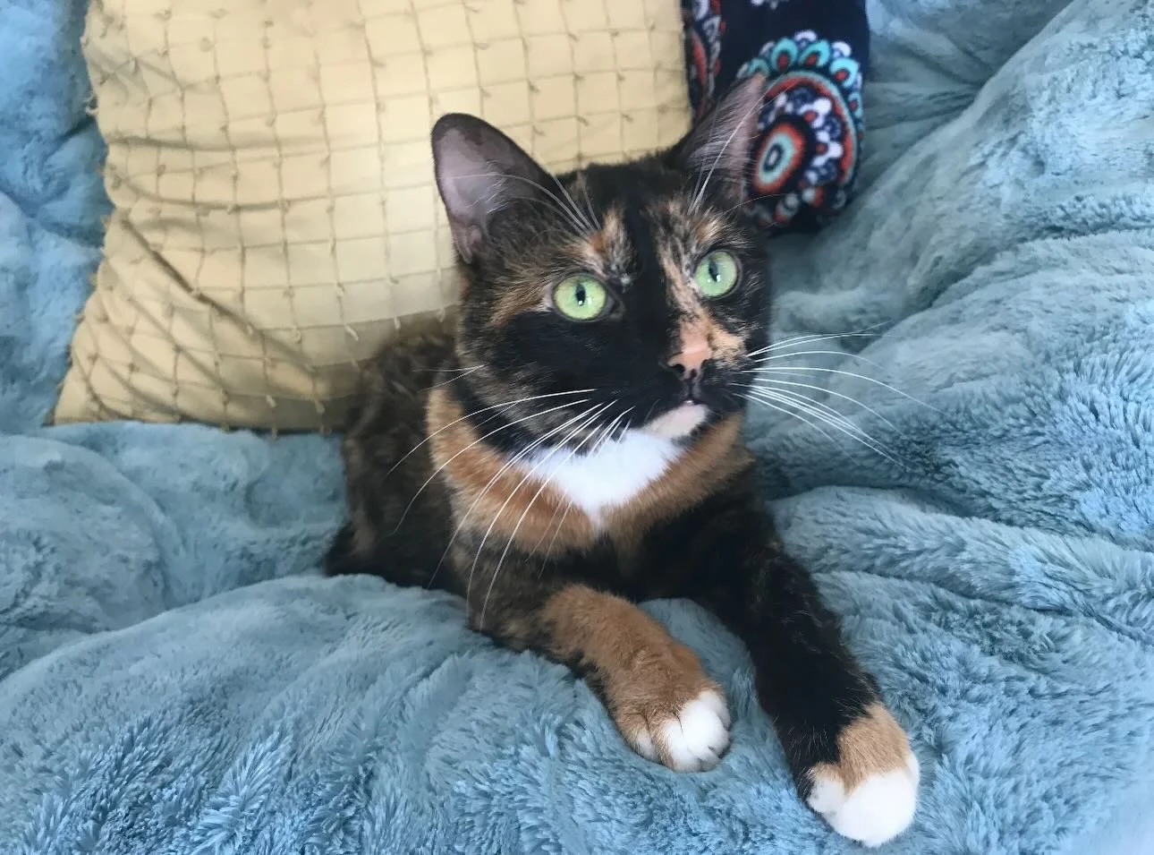 In loving memory of Holland Renee Fleck. 
June 1, 2007 - January 5, 2026.