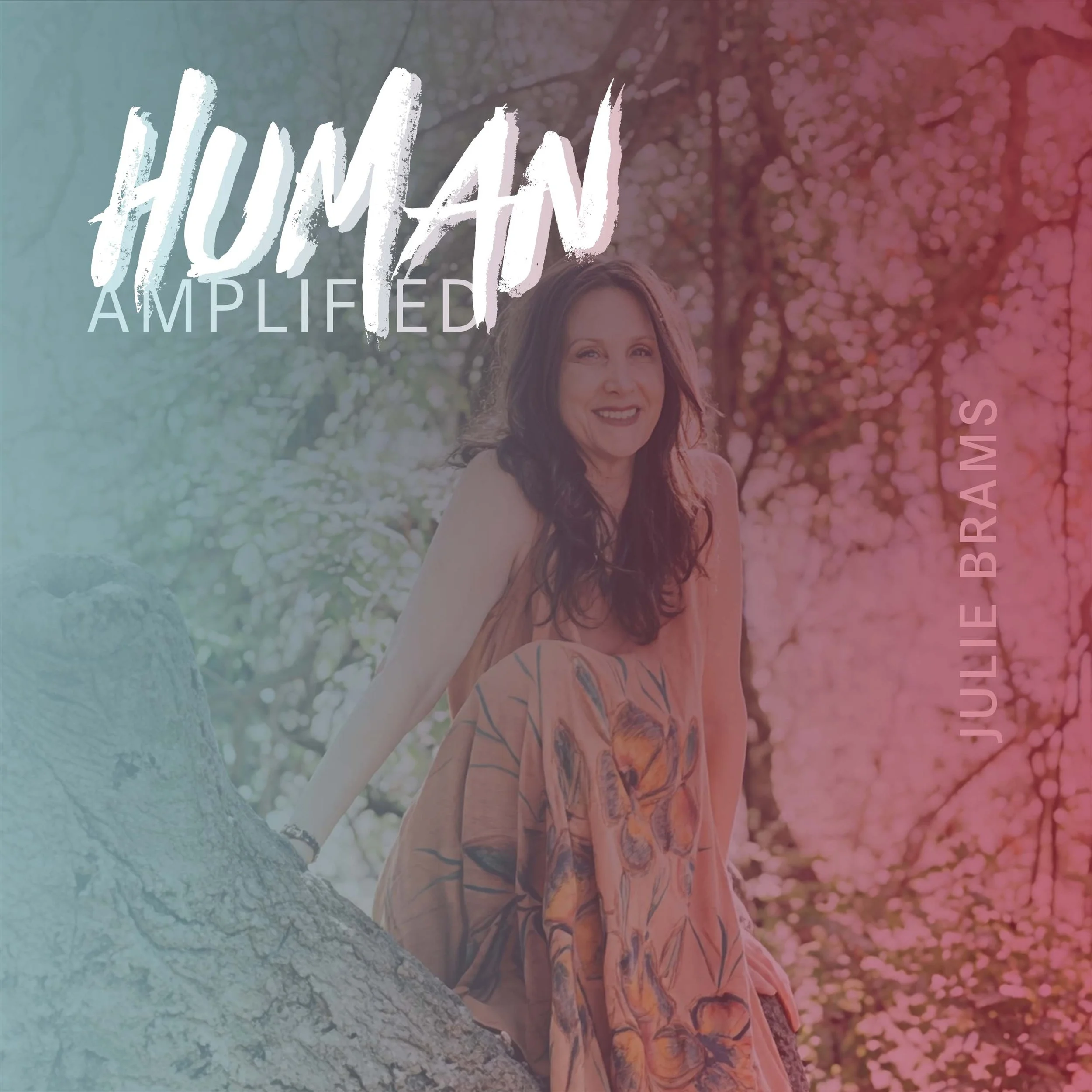 EPISODE 161 | How Nature Helps Us Heal Our Disconnection From Ourselves with Julie Brams