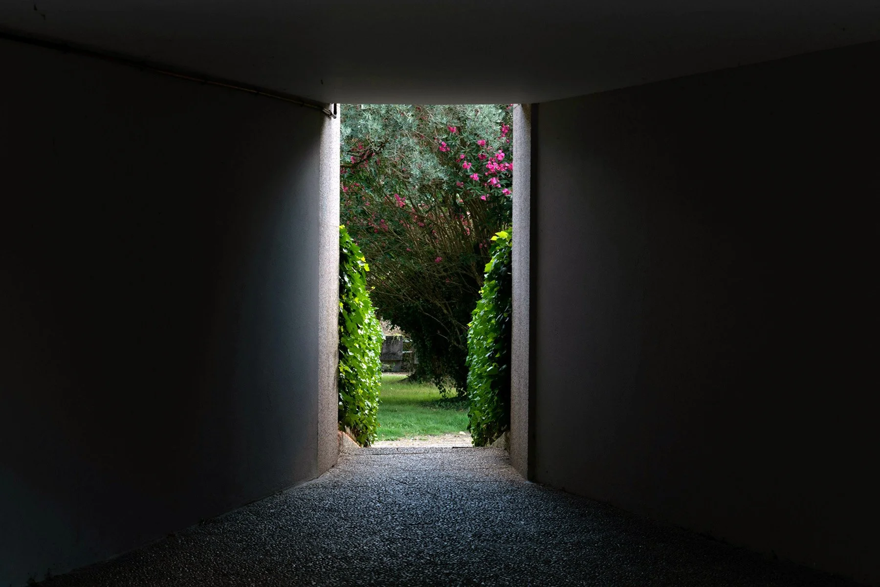 Death Brings New Life After Loss