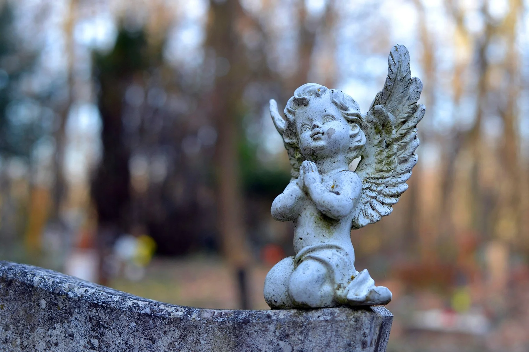 Hospice Care and End-of-Life Planning Explained