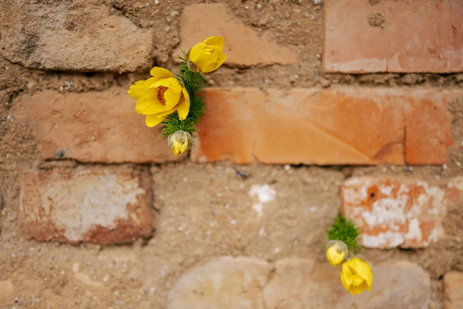 Surviving Narcissistic Abuse: What It Feels Like, How You Leave, and What Comes After