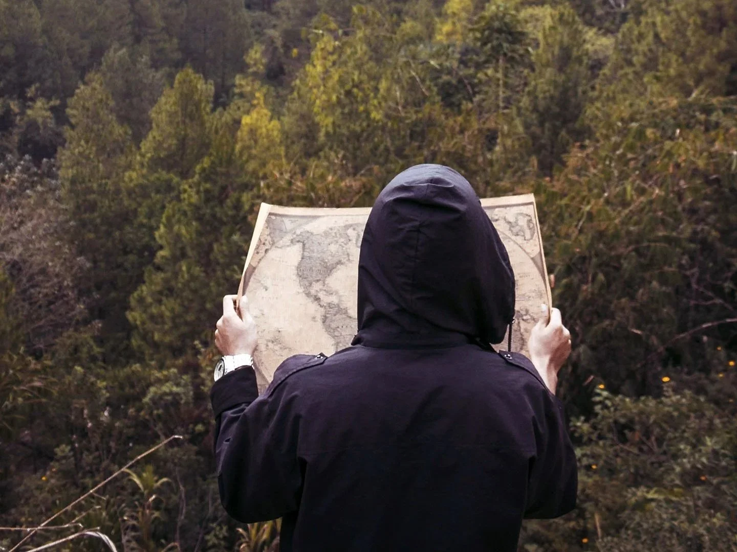 Adoption and the Search for Your Identity