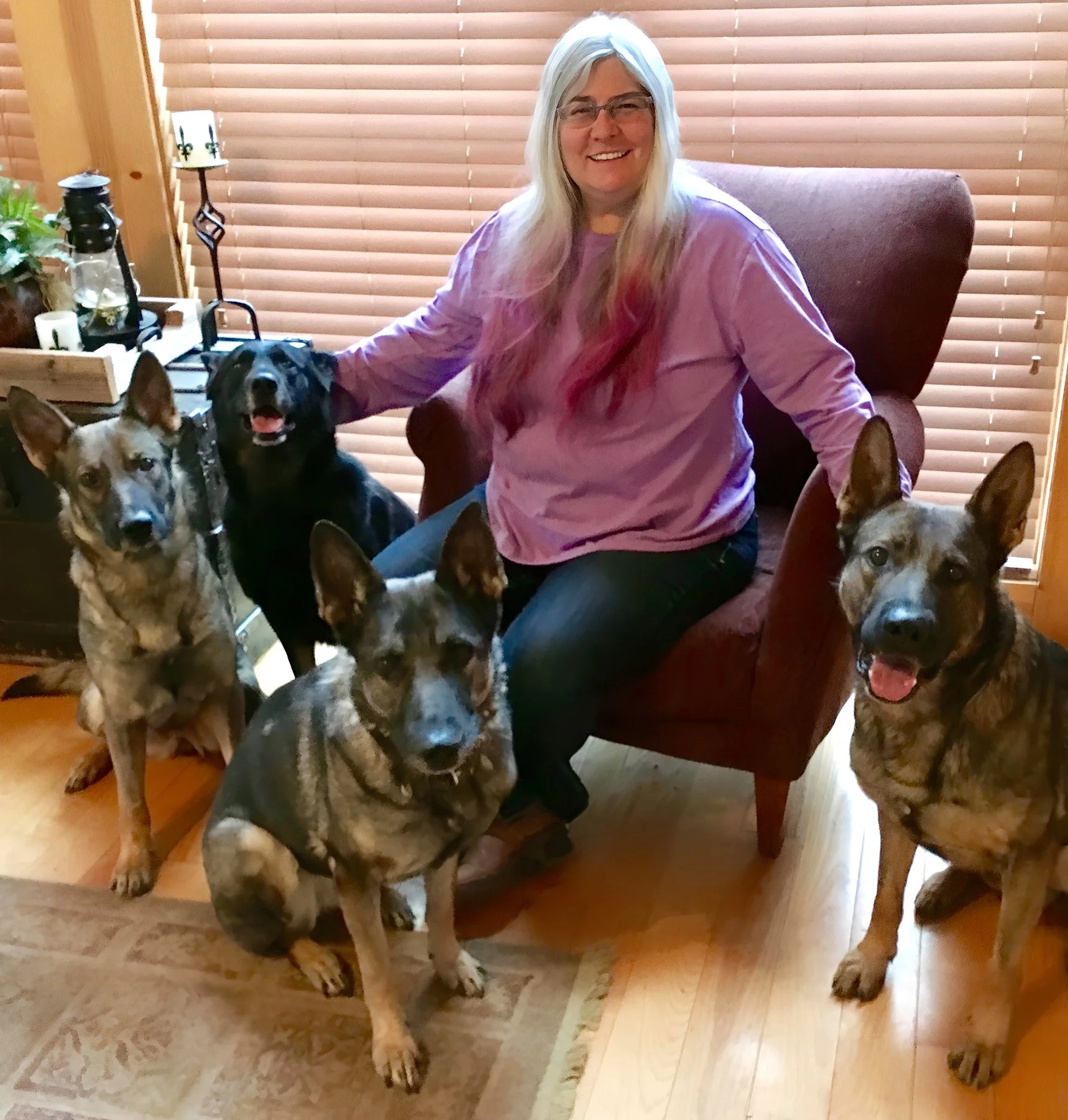 A smiling woman sits in a chair with four dogs gathered around her inside a sunlit room.