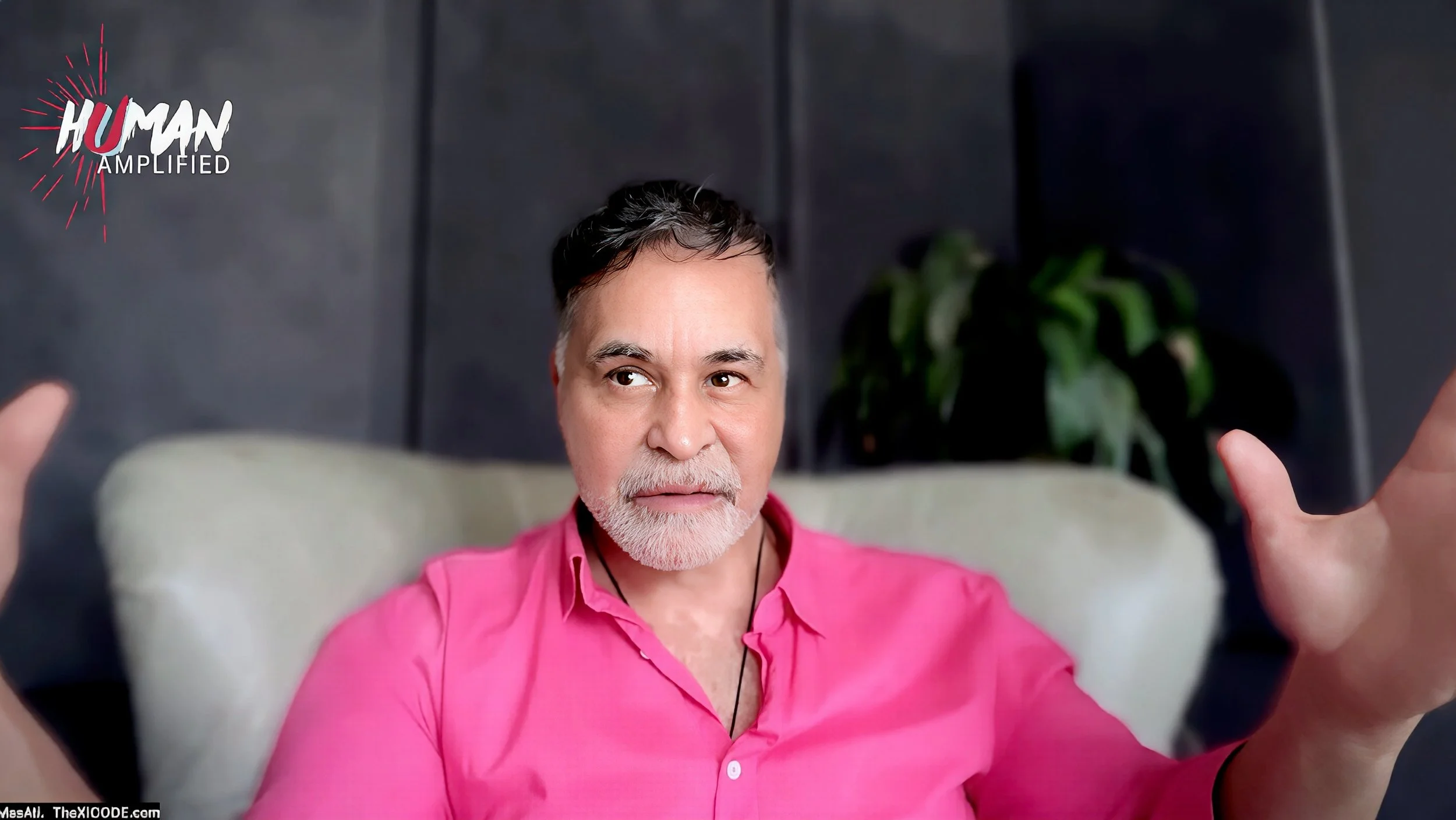 A man in a bright pink button-down shirt speaks with both hands raised while seated in a light-colored chair during a video interview.