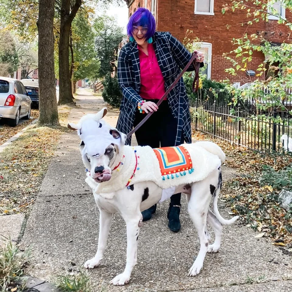 A smiling person with bright purple hair walks a large white Great Dane dressed in a colorful llama costume on a tree-lined neighborhood sidewalk during autumn.