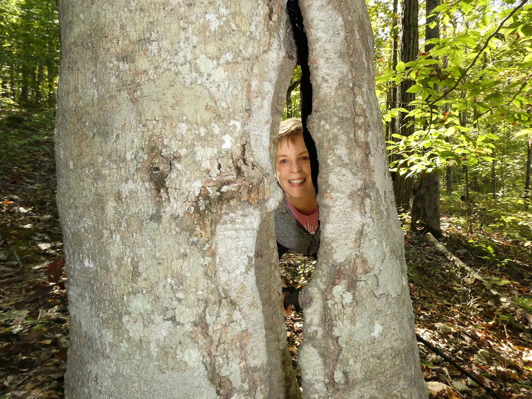 Woman smiling while standing inside the hollow opening of a large tree during a forest hike.