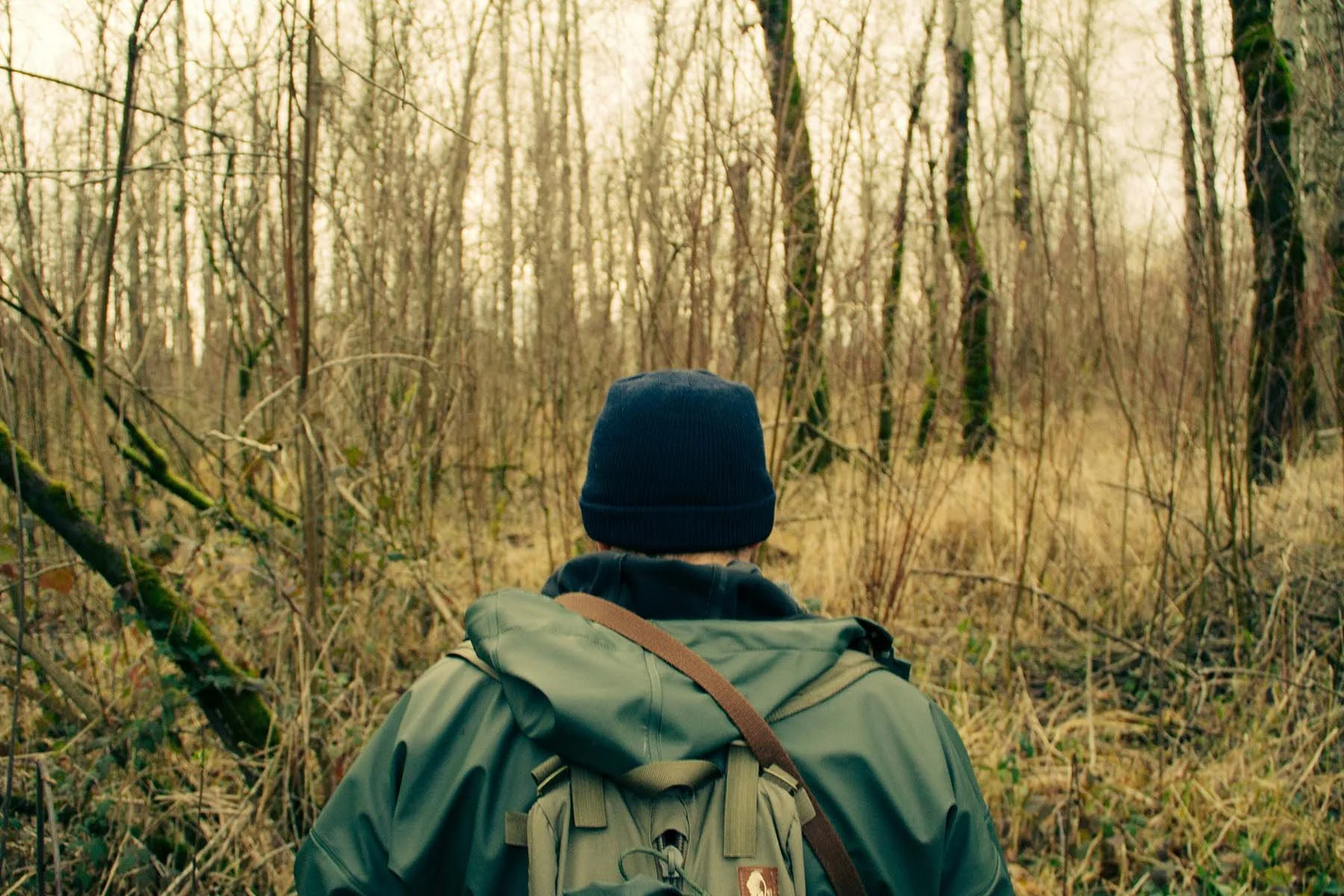 A person wearing a backpack and knit hat walks through a quiet forest with tall, leafless trees.