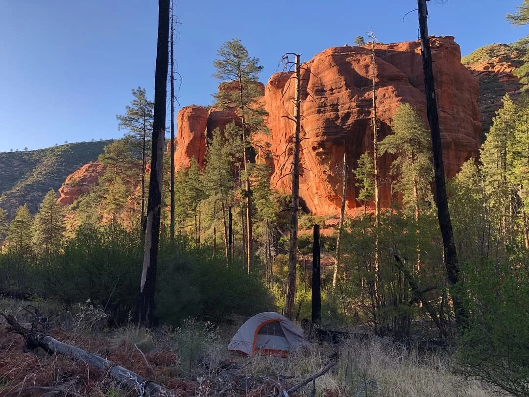 Tent set up in the woods in Sedona, Arizona surrounded by trees and nature.