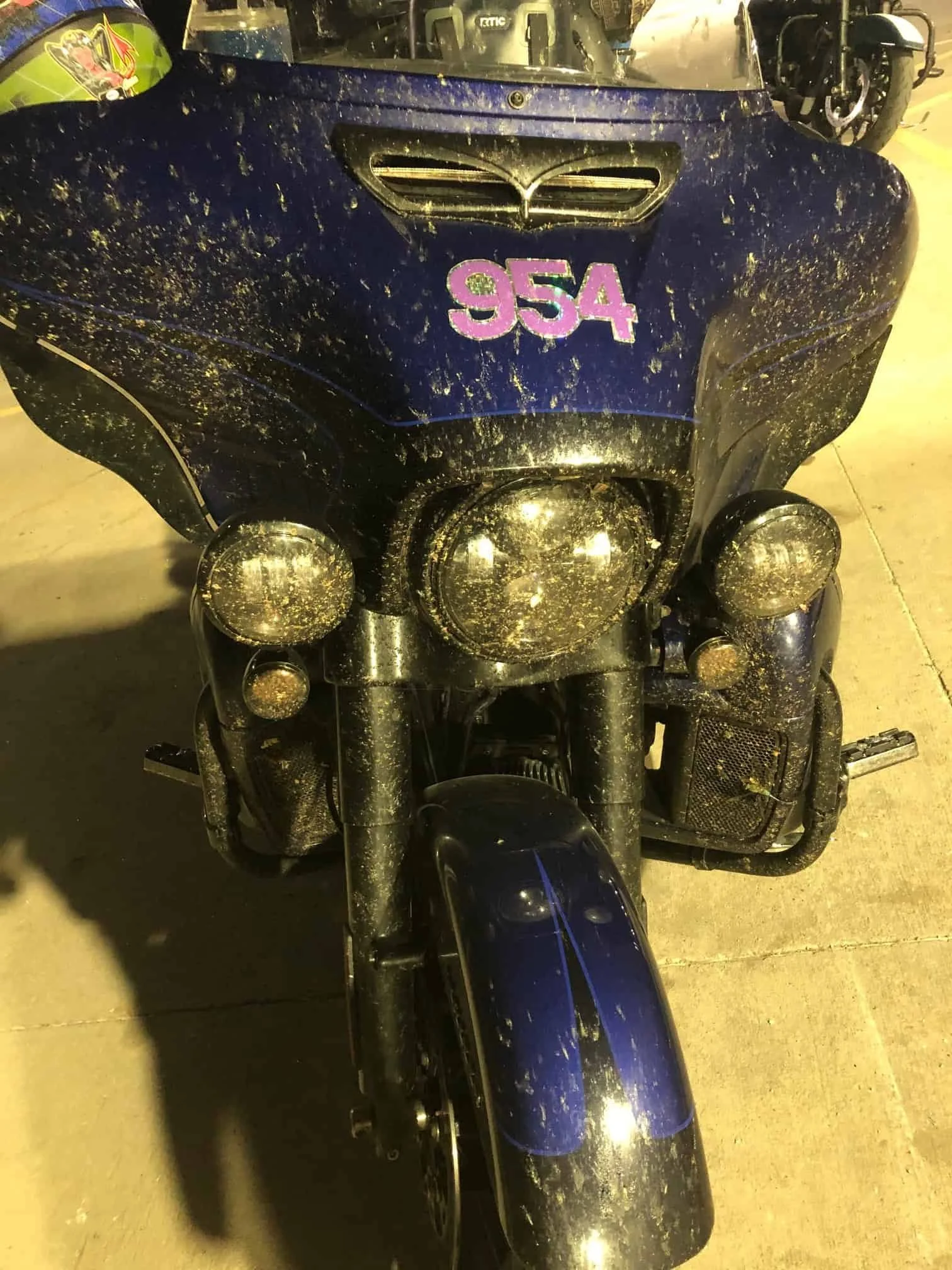 Front of motorcycle with team rider number visible on the front.