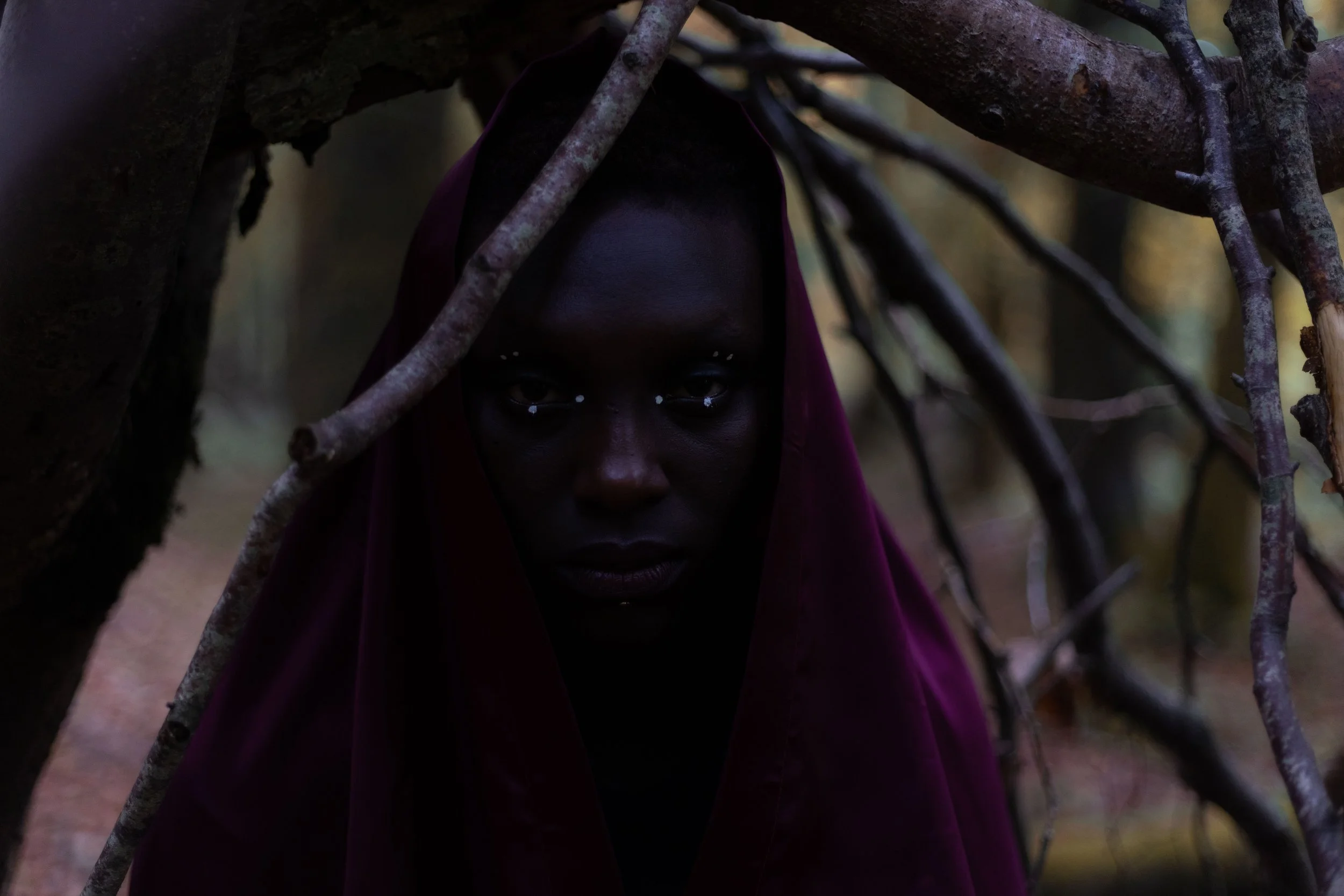 they tried to bury us. 