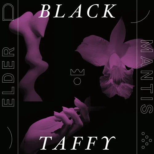 Track Review of "Lantern Flies in Mist" by Black Taffy