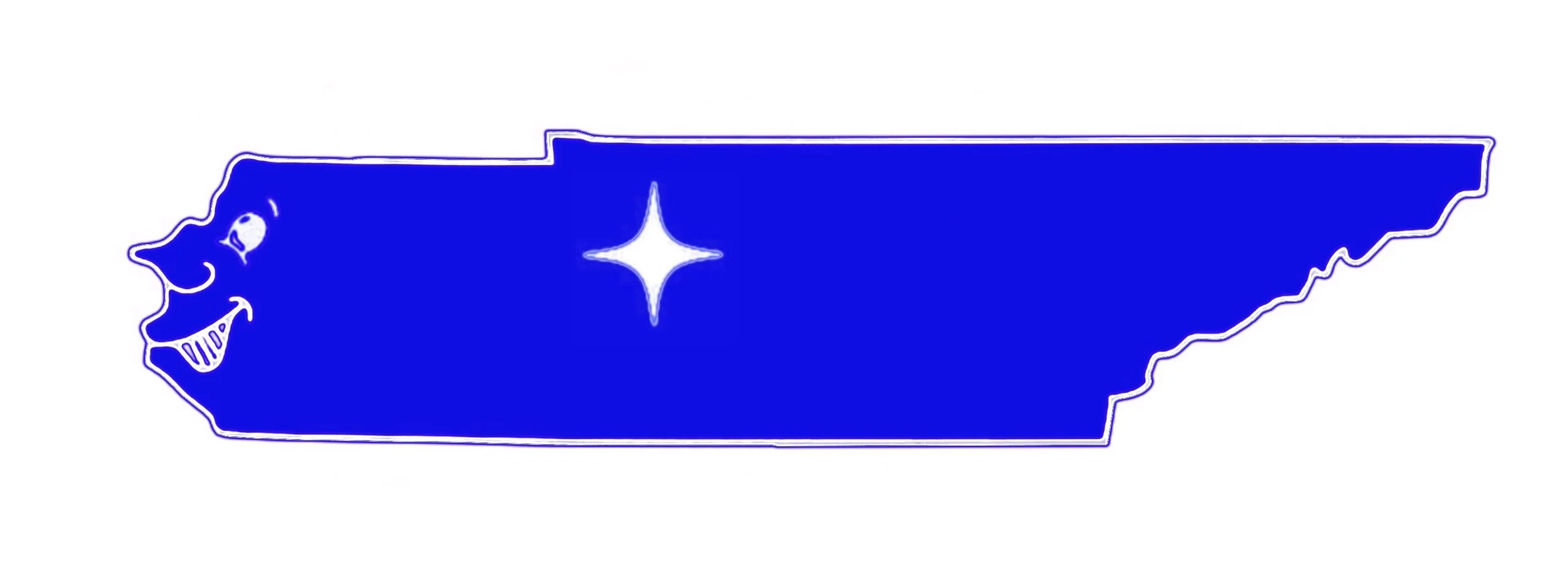 sctn logo.jpg