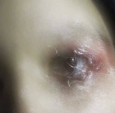 Track Review of "Swim" by Tamana Ramen 玉名ラーメン