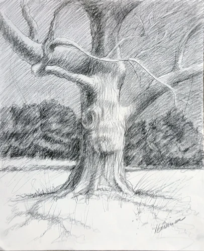 Old Tree Stands Alone