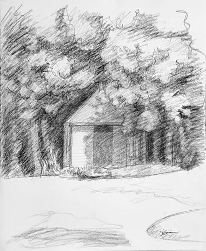 A Shed in the Woods