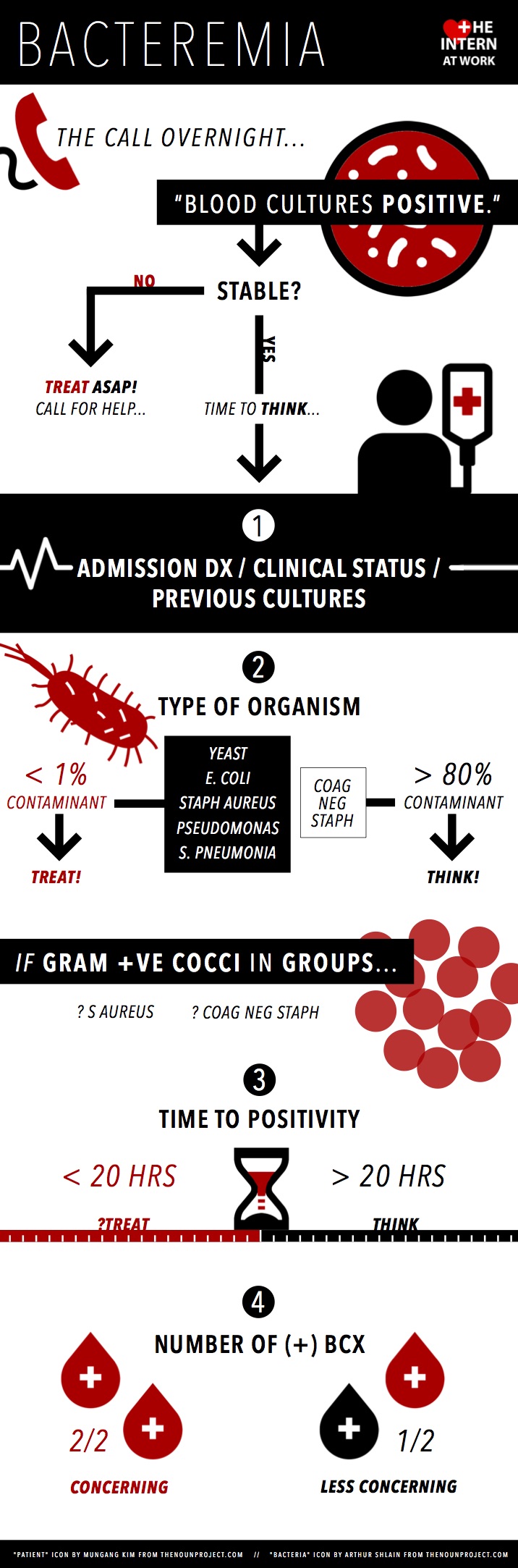 Bacteremia.jpg