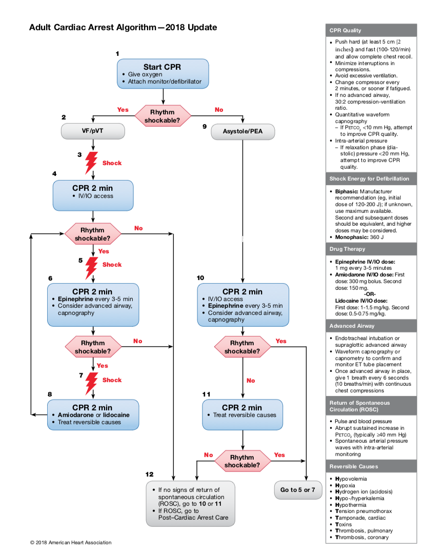 Day 5 - ACLS — The Intern at Work