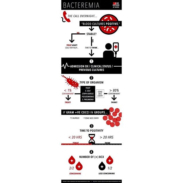 Got that overnight call about a positive blood culture? Not sure how to approach it? Well look no further, today we teach you about an approach to bacteremia! Check out our podcast, article and infographic to review!