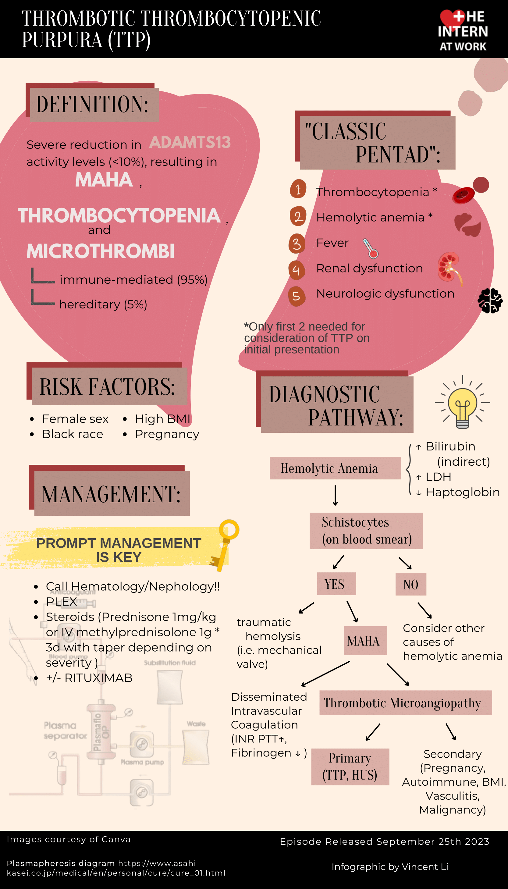 Isth Guidelines For Treatment Of Thrombotic Thrombocytopenic Purpura – VEMS