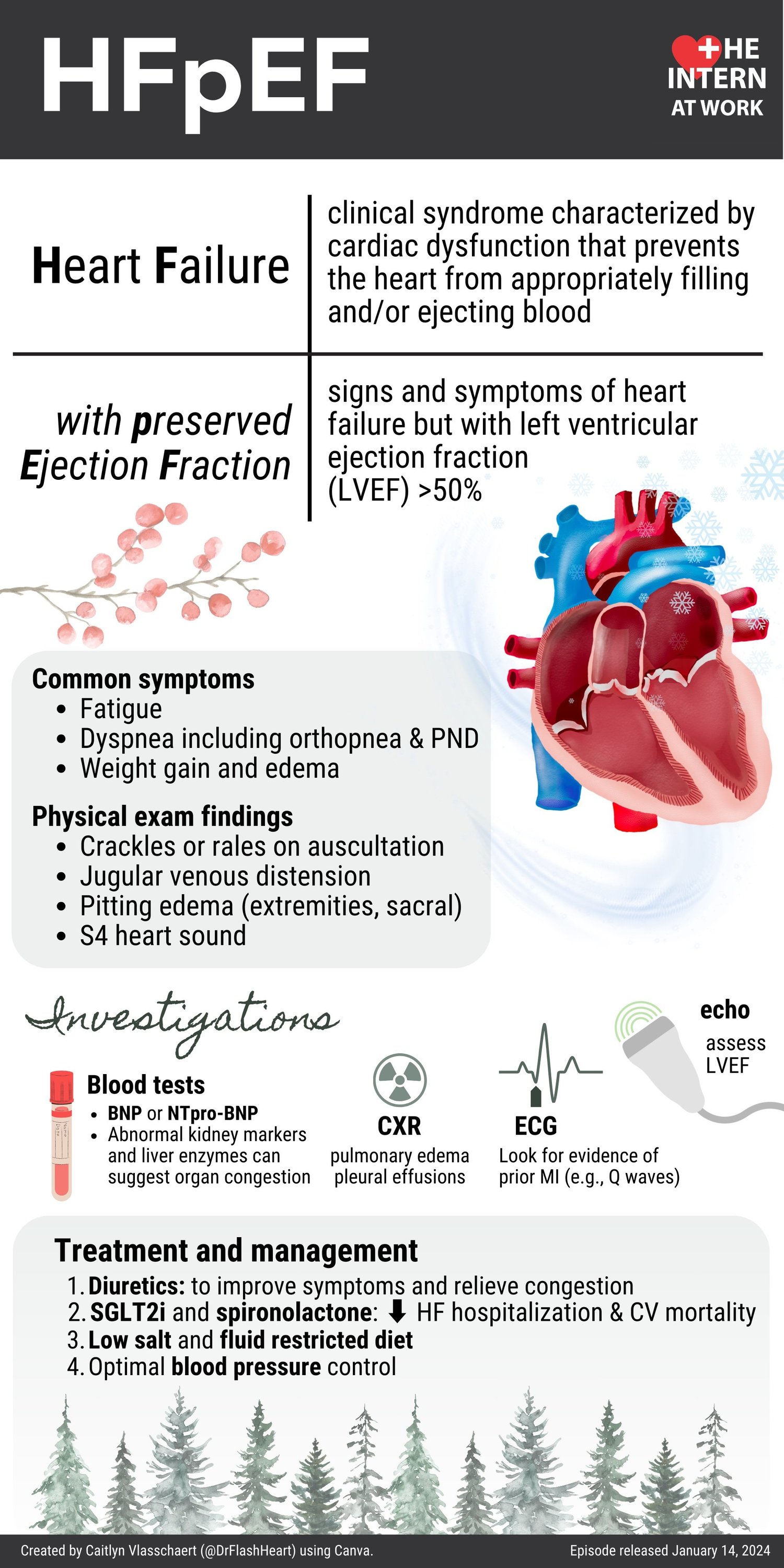 Heart Failure Preserved Ejection Fraction — The Intern at Work