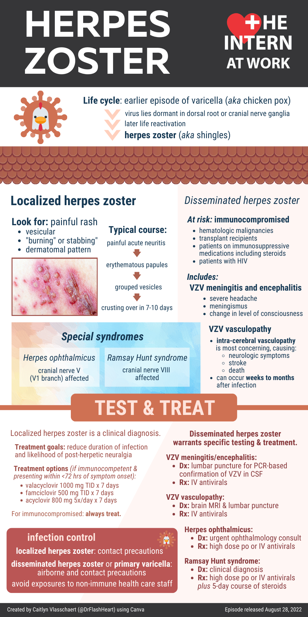 Herpes Zoster The Intern At Work
