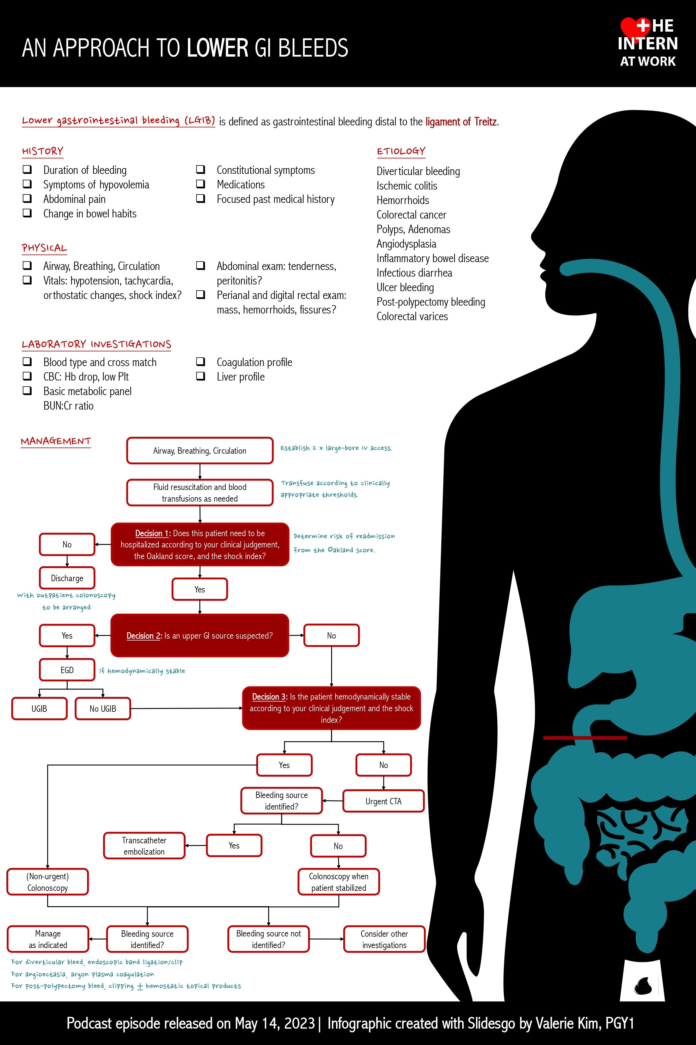 Lower Gastrointestinal Bleed — The Intern At Work