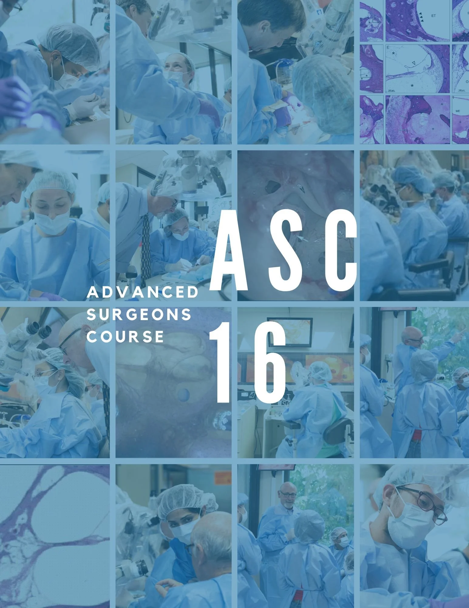 Institute for Cochlear Implant Training