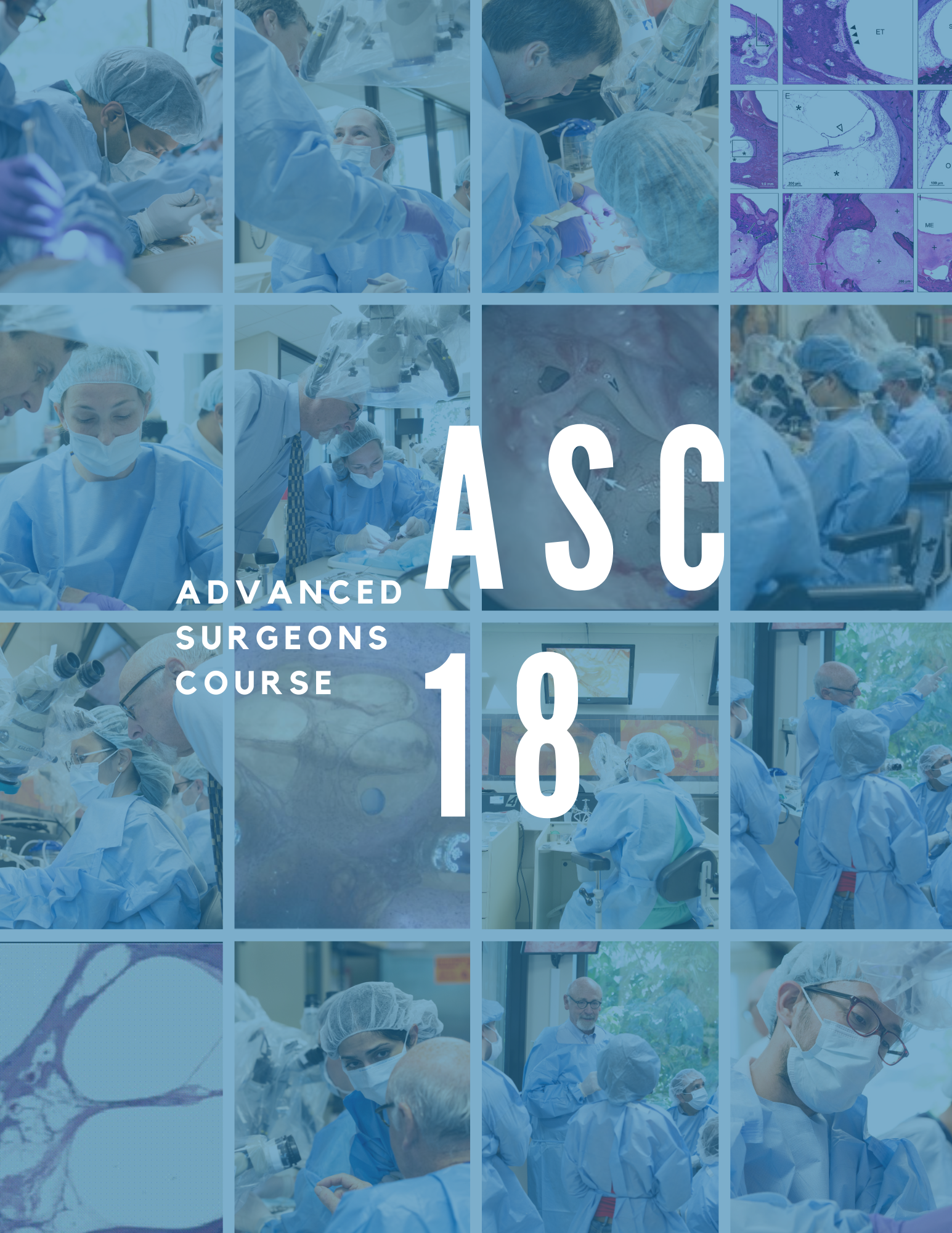ASC 18 Button.png