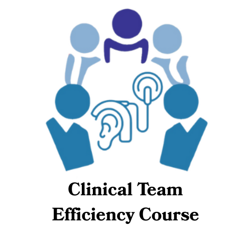 Clinical Team Efficiency Course 2026