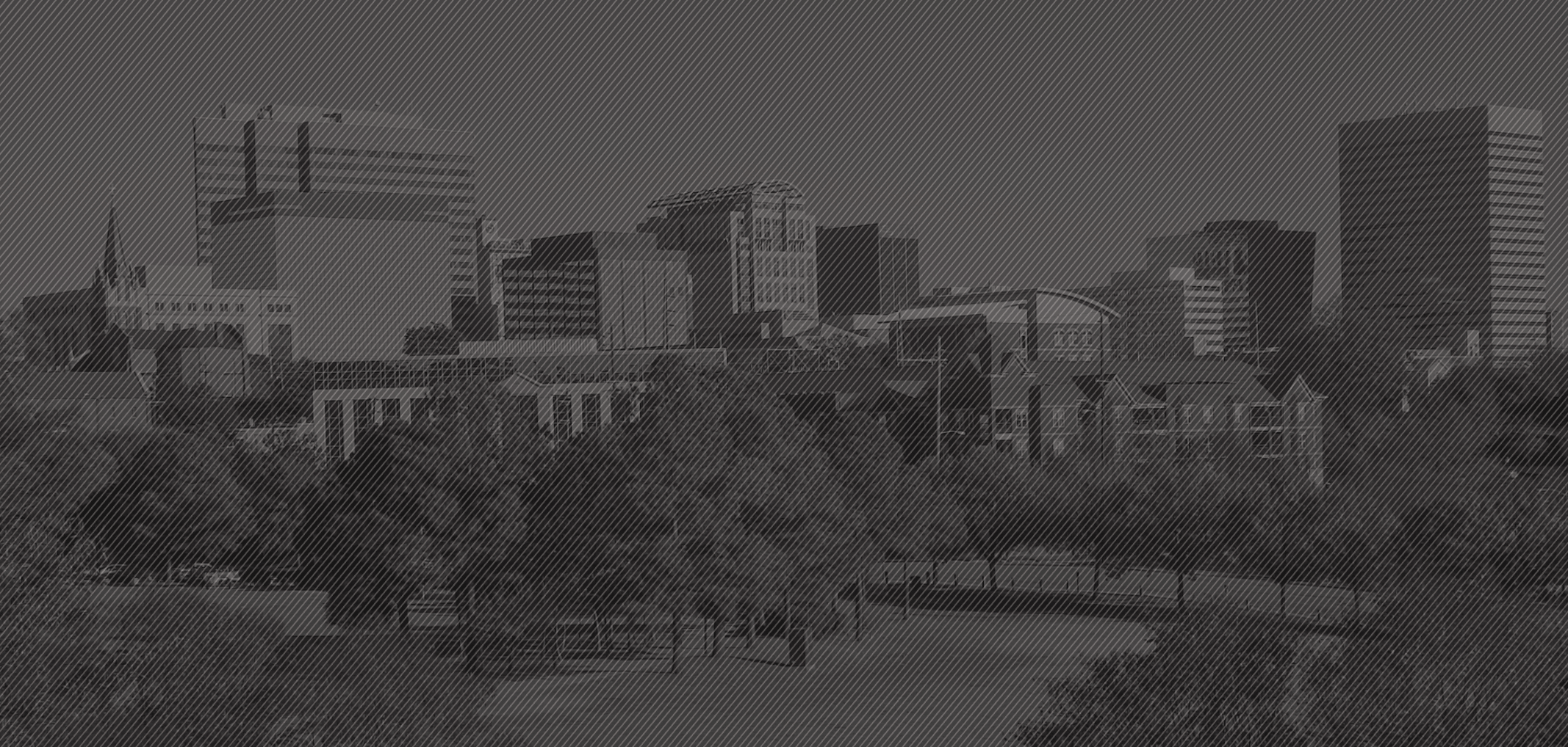 Test banner 4.png