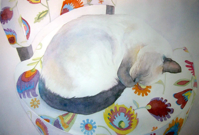 Hanlon-BreuerSandi_To Sleep...Perchance to Dream.jpg