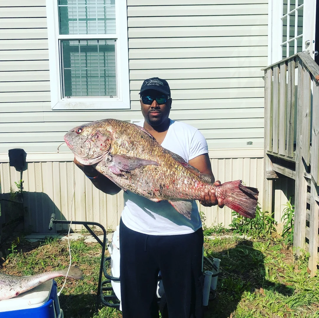 Black Drum for dinner