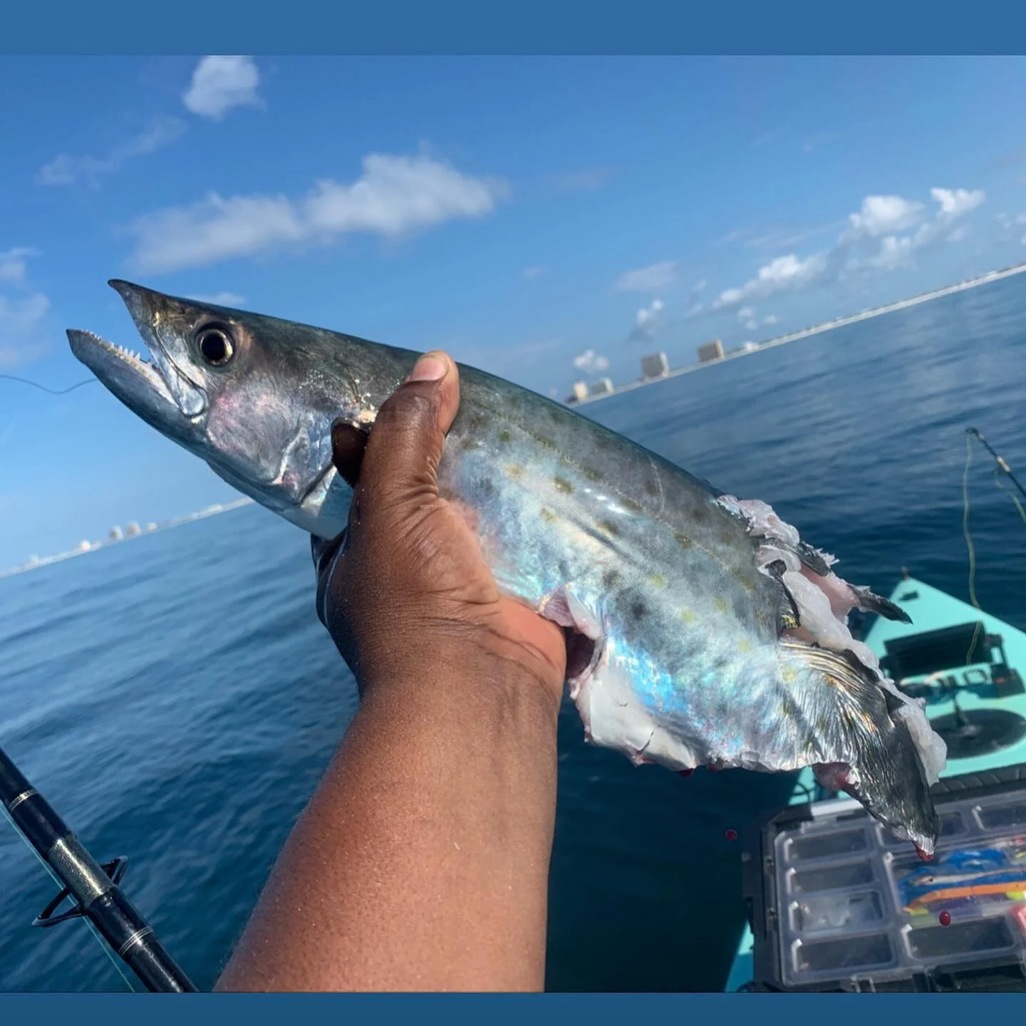 Another adventure in the books. Nothing worth keep but I I got to see a beautiful day out on the water. Me and Justice took our @soloskiff to Casino Beach in Gulf Breeze, FL. Watching so many species. From turtles to dolphins to sharks. Great time ha