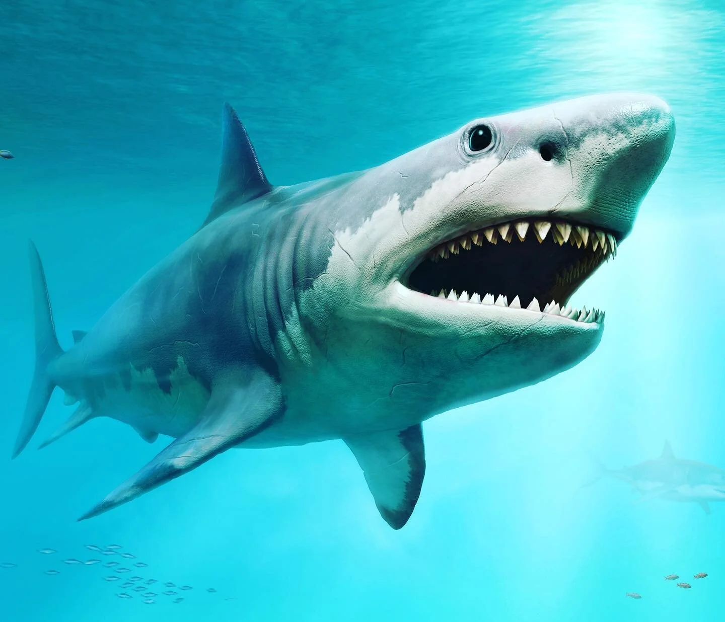I&rsquo;m no expert. Educational information only.

Fishing for sharks from shore? You need a permit.
Adult anglers fishing for shark from shore must take an online educational shore-based shark fishing course AND have a no-cost, shore-based shark fi